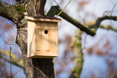Tiltræk fluens naturlige fjender