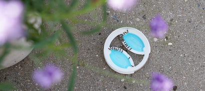 Bliv fri for myrer med genopfyldelig myrelokkedåse