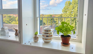 Få 6 gode råd mod fluer