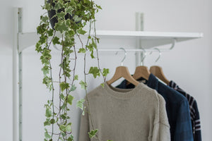 Har du fundet møl i tøj?