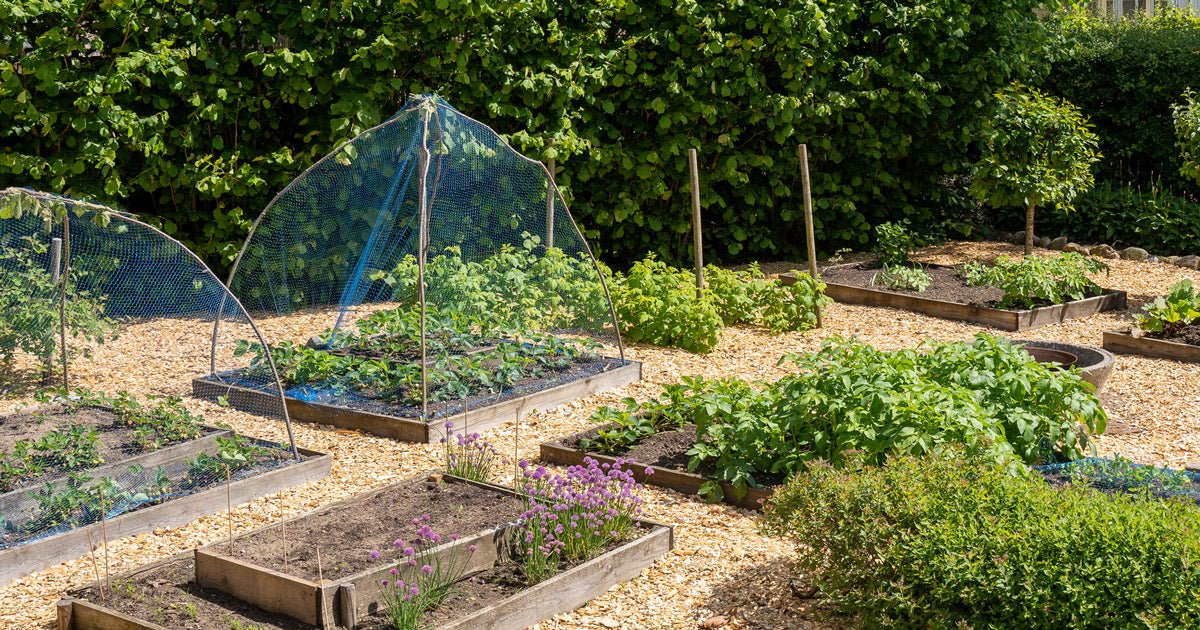 Få 6 gode råd til køkkenhaven - ECOstyle