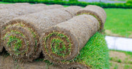 Flot græsplæne på kort tid med rullegræs - ECOstyle