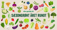 Spis efter sæsonen: Oversigt med årstidens frugt og grønt