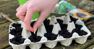 Havekalender marts: Hvad kan man lave i haven nu? - ECOstyle