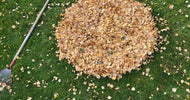 Havekalender november: Hvad kan man lave i haven nu? - ECOstyle