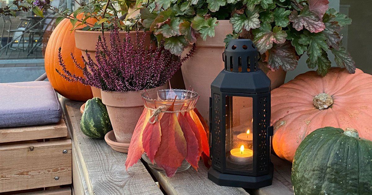 Havekalender oktober: Hvad kan man lave i haven nu? - ECOstyle