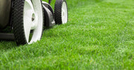 Havekalender april: Hvad kan man lave i haven nu? - ECOstyle