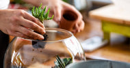 DIY: Sådan laver du et planteterrarie - skab dit eget mini økosystem - ECOstyle