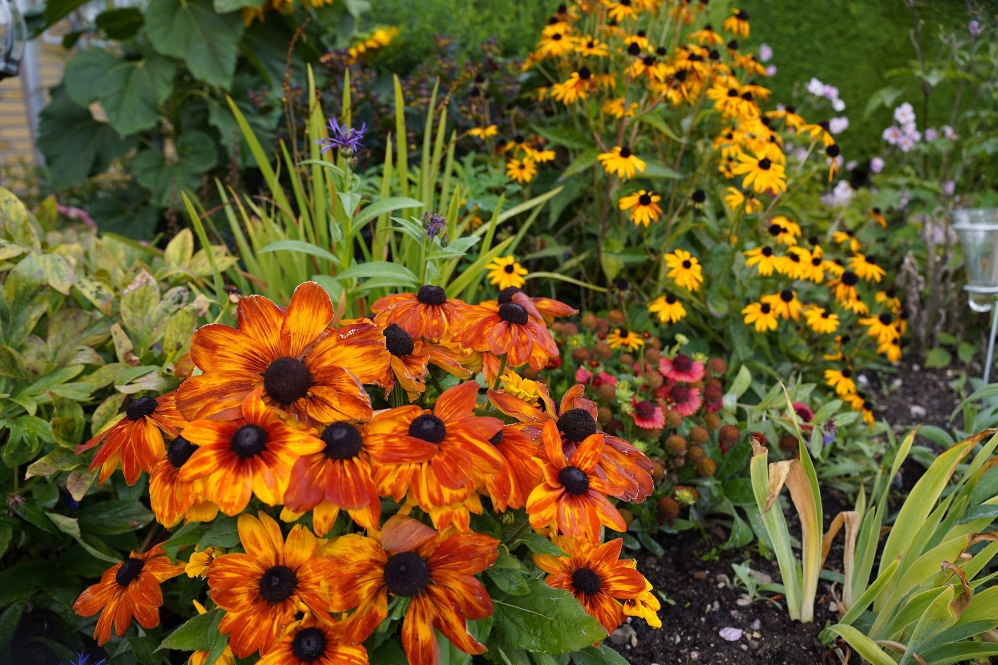 Sådan skaber du en skøn blomsterhave året rundt - ECOstyle