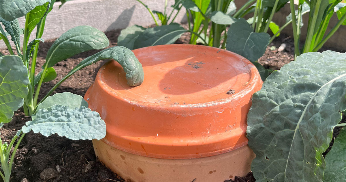 DIY: Lav dit eget smarte vandingssystem med en olla
