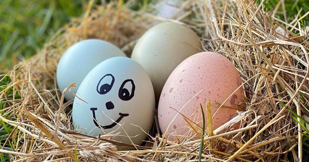 Påskeferie: Idéer til hyggelige aktiviteter for hele familien - ECOstyle