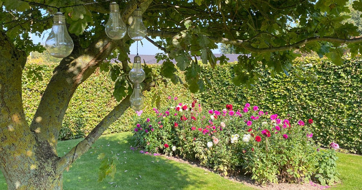 Det skal du vide, inden du anlægger et blomsterbed - ECOstyle