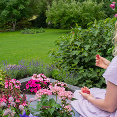 Collection image for: Alle produkter