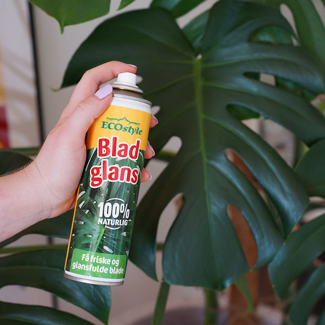 Bladglans