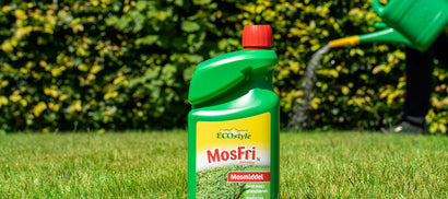 Bliv fri for mos i græsplænen med MosFri