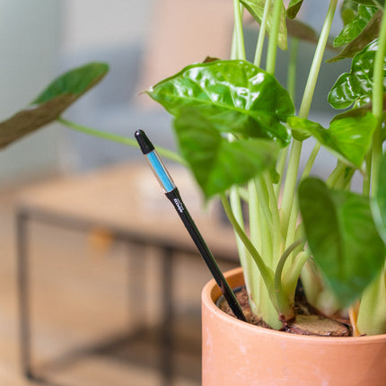 Vandmåler til stueplanter